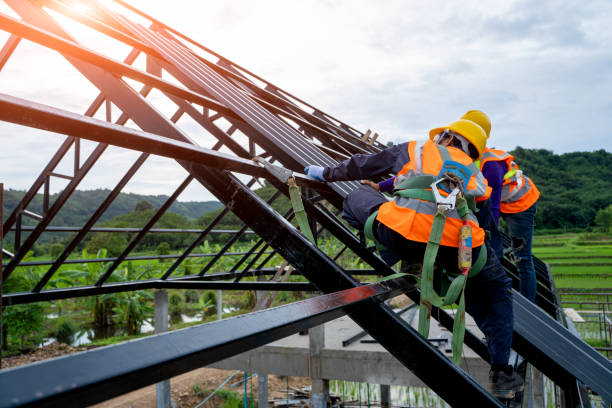 Best Roof Gutter Cleaning  in Watervliet, MI