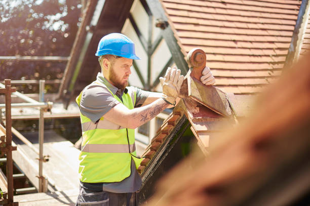 Professional Roofing Contractor in Watervliet, MI